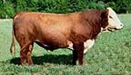 KCF Bennett Impact H622