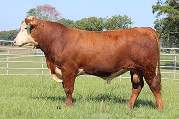 RMB 372Z Whitlock 634C ET