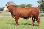 RMB 372Z Whitlock 634C ET
