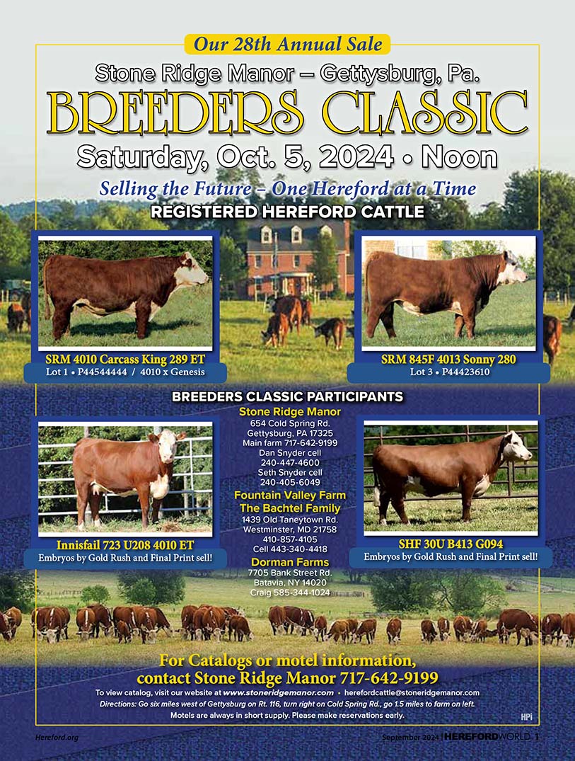 Breeders Classic Sale